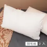 【PJ】飯店舒眠天然羽毛枕 台灣製(2入)