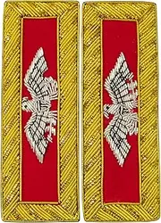 [UK EMPIRE GROUP] Civil War US Officer Shoulder Boards Colonel (Silver Eagle) Artillery Red – Gold Bullion Embroidered | ACW Rank Insignias