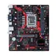 ASUS 華碩 EX-B760M-V5 D5主機板-註4