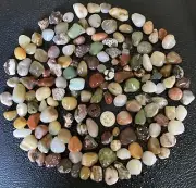 140+pc Colorful Michigan Rocks - Chert Epidote Unakite Rhyolite Agate Jasper 1LB