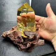 Top Natural citrine Quartz obelisk Crystals Tower Point Wand Reiki Gmes 1.1LB