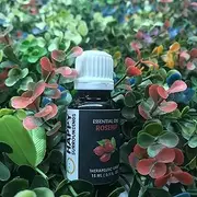 Rosehip Essential Oils ~ Pure Natural Aromatherapy Massage Oil - Therapeutic Grade - 100% Natural Incense - Pure essential oil (100ml)