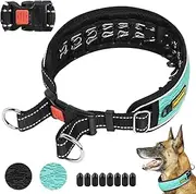 Mayerzon Martingale No Pull Collar for Large Medium Dogs Pitbull German Shepherd Rottweilers, Patented Reflective Anti Pull Dog Walking Collar with Buckle for Training Hiking, Adjustable(L, Cyan)