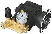 SPS 3HP 11L/Min 100Bar 1450PSI Mini High Pressure Water Pump Car Wash High Pressure Water Pump