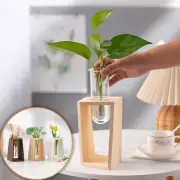 Hydroponic Plant Propagation Station With Glass Test Tube And Wooden Stand Deco