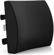 FOVERA Back Support for Chair, Orthopedic Lumbar Support Memory Foam Backrest Cushion - Designed for Back Pain Relief - Ideal Back Pillow for Computer/Office Chair (Mesh Black)
