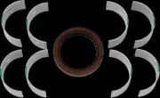 Hot Rods Main Crankshaft Bearing Kit for Polaris RZR XP 1000 18-22