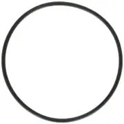 1132+ Zodiac Jandy Lid O-Ring