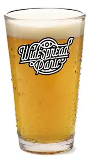 Widespread Panic - Rock and Roll - 16oz Pint Beer Glass Pub Barware Seltzer