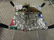 Ferret Hideaway Hammock - Cartoon Traffic Jam - Thick Sherpa Lining