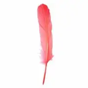 Goose Pointer Feathers 10 grams - Coral