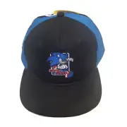 Sonic The Hedgehog Sonic Modern Screen Emblem Flat Brim Snapback Hat NEW