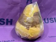 LUSH - The Honey Pot Bubble Bar