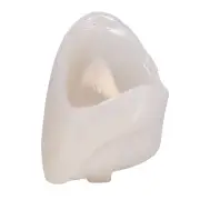 50Pcs/Box Dental Front Teeth Temporary Oral Care Resin Crown Anter MNJ