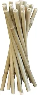 20 Natural Bamboo Straws - Reusable 10 Inch Straws with Nylon Brushes
