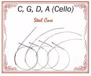 Paititi String Steel Core Beginner Level String Set 3/4 Size Cello High Quality
