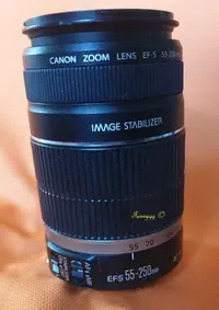 在飛比找Yahoo!奇摩拍賣優惠-canon EFS 55-250mm  鏡頭