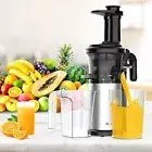 Masticating Juicer Machine for Fruits , Cold Press Slow