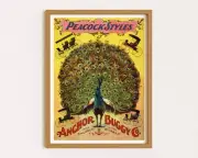 Vintage Poster Peacock Print Ad Poster Colful Wall Art