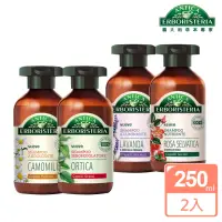 在飛比找momo購物網優惠-【ANTICA 義大利草本專家】草本洗髮乳250ml_2入組