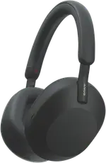 Sony Premium Noise Cancelling Headphones