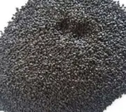 Tulsi seed whole Ocimum Sanctum-Holy Basil Organic Indian Herbs Dried seed