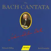 THE BACH CANTATA, VOL. 41 NEW CD