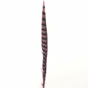 18" to 20" Reeves Pheasant Tail Feather - Hot Pink ((SECONDS))