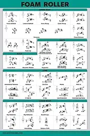 (46cm x 70cm, LAMINATED) - QuickFit Foam Roller Exercise Poster - Stretching and Workout Routine for Foam Roller