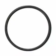 5 x Astral Pool O Ring 50mm Suits CTX TX FX CX VX ZX Viron Union GENUINE Orings