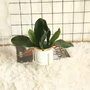 Phalaenopsis Leaf Orchid Artificial Flower Plant Wedding Decoration INS Wind