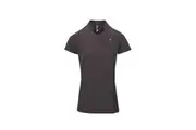 Premier Ladies/Womens *Blossom* Tunic / Health Beauty & Spa / Workwear (Dark Grey) - UTRW1128