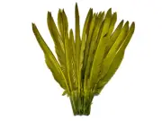 1/4 Lb. Olive Green Goose Pointers Long Primary Wing Wholesale Feather Costume