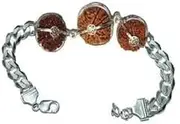 [Ganesha Arts] Rudraksha Combination for Protection 8,10,12 Mukhi Nepal In Silver Bracelet (Collector), 0, Wood, No Gemstone