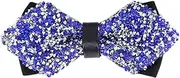 [HSHZHSHL] Men's Big Boy Sparkle Rhinestone Bow Tie Novelty Banquet Wedding Pre-Tied Bowtie
