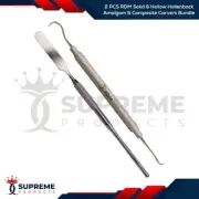 2 PCS RDM Solid & Hollow Hollenback Amalgam & Composite Carvers Double End