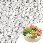 YQkangzhu 1.65lb White Pebble for Plants, 1-2cm Indoor Terrarium Gravel, River Rocks Polished, Vase Fillers Succulents Cactus Bonsai DIY Garden Landscaping Outdoor Stones for Aquarium, Fish Tank Decor