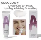 ACEOLOGY Overnight Lip Mask Exfoliating Hydrating Smoothing 0.5 floz Expiry 3/24