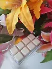 2 x 8 Squares 110g Soy Wax Clamshell Melts