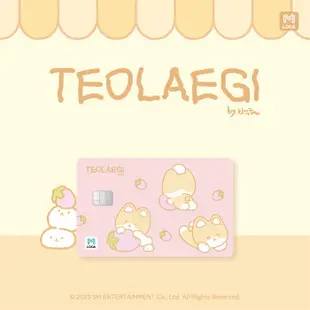 EXO 伯賢 特來騎 TEOLAEGI LOCAMOBILITY CARD 韓國 交通卡 小卡