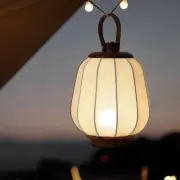 Cordless Rechargeable Lanterns Table Lamp - LED Outdoor Light,4000 mAh Batter...