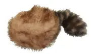 NEW Large Plush Frontier Coon Skin Raccoon Tail Hat Dog Toy Toys Furry Squeakers