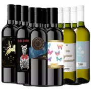 12x Mixed Red White Wine 750ml 2022 SA Shiraz Pinot Grigio -2L2Z2A2B2M2F