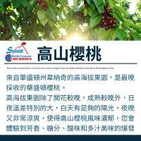 在飛比找Yahoo!奇摩拍賣優惠-【免運商品】智利10R櫻桃2kg