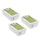 3x Boxsweden Crystal 32cm Crisp Bin Storage Food Fridge Organiser Container WHT