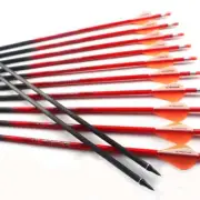 6/12pcs 31in Pure Carbon Arrows ID 6.2mm Arrow for Compound Recurve Bow Hunting