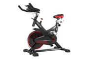 Powertrain Rx 200 Exercise Spin Bike Cardio Cycling Red Exercise Bikes