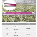 LED-T8 軌道植物燈 泛光型2022新款，/2尺/4尺 植物生長燈/室內培植/溫室植物 /多肉植物/仙人掌