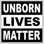 Unborn Lives Matter 4x4 Vinyl Bumper Sticker