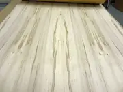 Maple Spalted real natural wood veneer 24" x 120" x 1/40" with paper backer AA